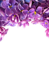 Fototapeta na wymiar Vertical beautiful floral border with lilacs.