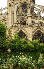 The Cathedral of Notre Dame de Paris, France