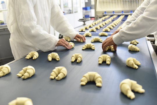 Workers at production line in a baking factory with croissants