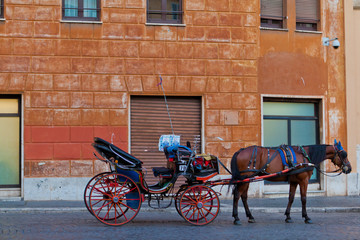 Horse with red carriage stands on the Roman street