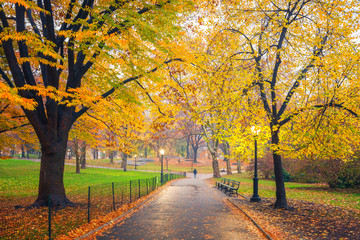 Central park at foggy morning, New York City, USA