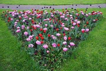 Gartengestaltung,Blumenbeet,Frühling