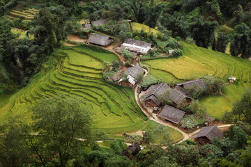 Small vilage in Viet Nam with rice terraces