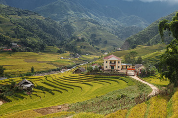 Rice terraces in Viet Nam with beautiful old hause