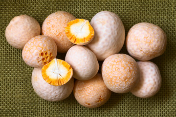 Fresh and raw Chilean Pinatra or Diguene edible mushroom (lat. Cyttaria espinosae) available in spring and early summer, usually eaten raw in a salad, photographed overhead with natural light