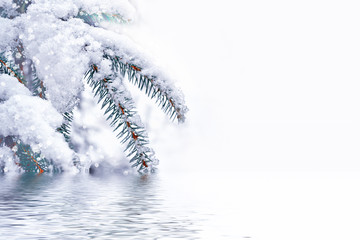 forest in the frost. Winter landscape. Snow covered trees.
