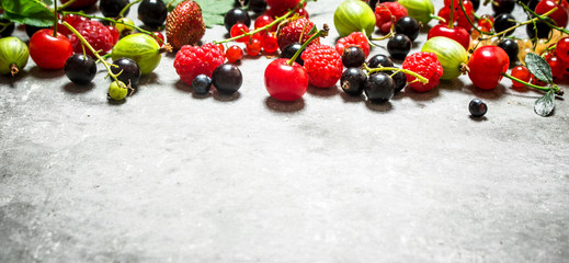 wild berries on the stone table.