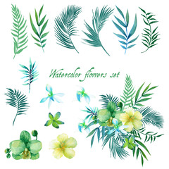 Watercolor floral set for your design. - 121135474