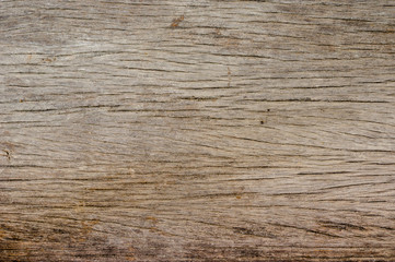 Fototapeta premium Old wood background