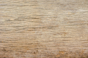 Old wood background