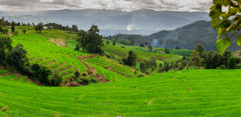 Obraz premium Ban Papongpieng Rice Terraces, Chiang Mai, North of Thailand