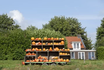 Foto op Plexiglas herfst landschap met kar vol pompoenen voor het huis © Carmela