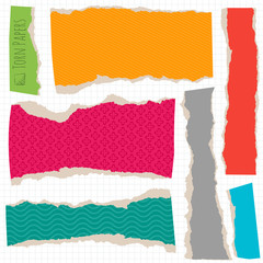 Vector torn paper objects.