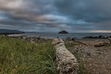 Driftwood on beach