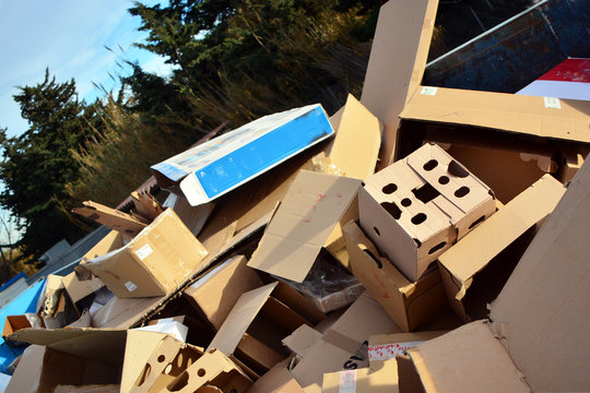 cartons