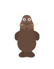 Funny seal character
