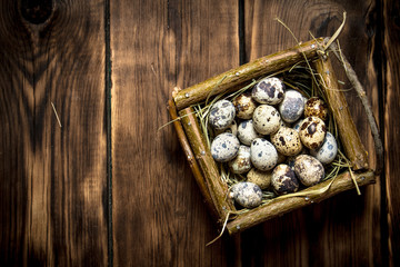 Obraz na płótnie Canvas Quail eggs in the basket.