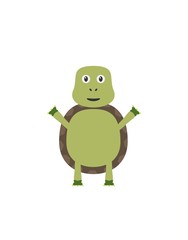 Funny turtle character