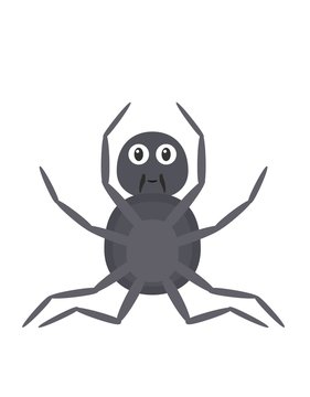 Funny spider character