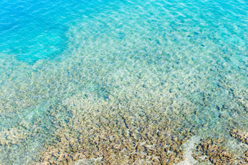 Fototapeta na wymiar expanse of water in the lake as a backdrop
