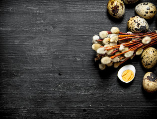 Quail eggs and willow branches.