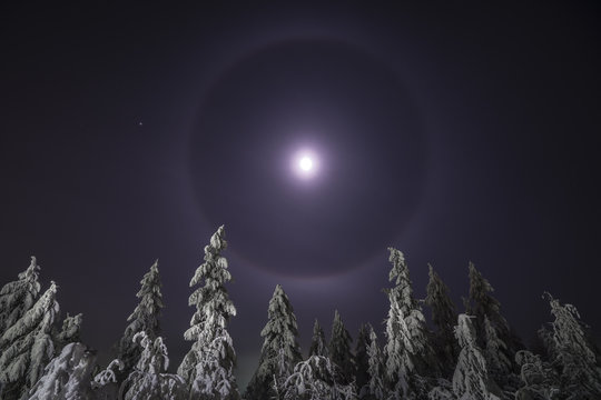 Winter night landscape with moon halo and forest