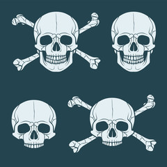 Skull vector set