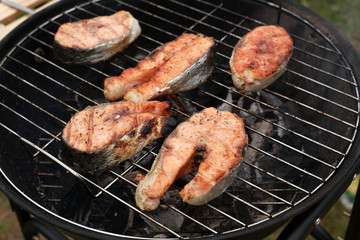 salmon on grill