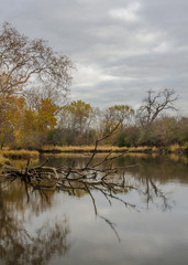 Fototapeta na wymiar 619-51 DuPage River Gray Autumn