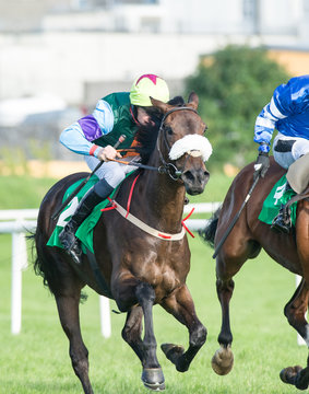 Close-up of race horse and jockey competing in a race