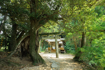 （愛媛県内子町石畳　弓削神社）