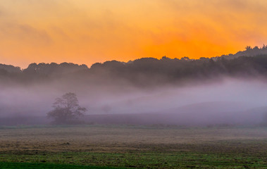 Naklejka na ściany i meble Mystic foggy sunrise,Foggy sunrise over beautiful danish meadow