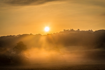 Mystic foggy sunrise,Foggy sunrise over beautiful danish meadow