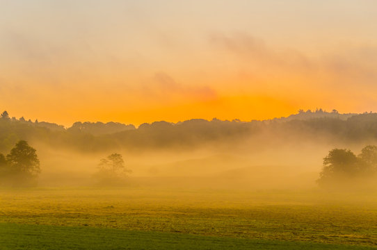Mystic foggy sunrise,Foggy sunrise over beautiful danish meadow © 221anika