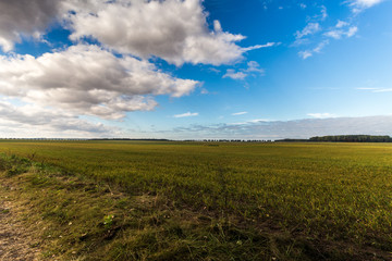 Mecklenburg-vorpommern