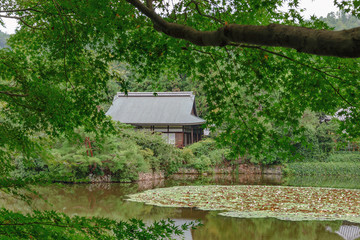 Obraz premium 古都京都 龍安寺の蓮池風景