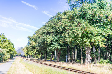 schmalspurbahn molli