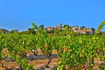 Fototapeta na wymiar village vignes vinsobres