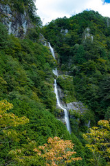 Fototapeta na wymiar 程野の滝　西滝（高知県いの町）