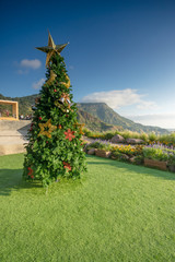 Christmas tree on green grass and mountain background.