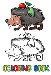 Coloring book of little funny hedgehog
