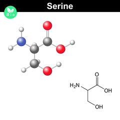 Serine proteinogenic amino acid