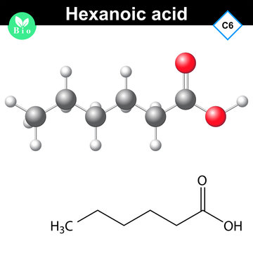 Hexanoic acid molecule