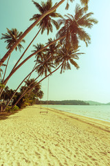 Fototapeta na wymiar Coconut tree and swing on beach with vintage toned