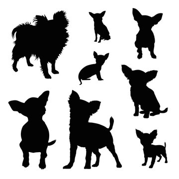 chihuahua silhouette illustration set