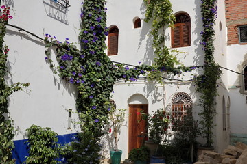 Fototapeta na wymiar Maison, Assilah, Maroc.