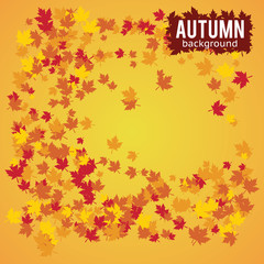 Fototapeta na wymiar autumn background vector illustration