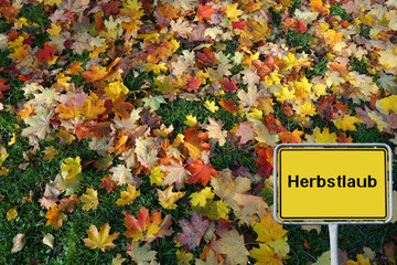Buntes Herbstlaub
