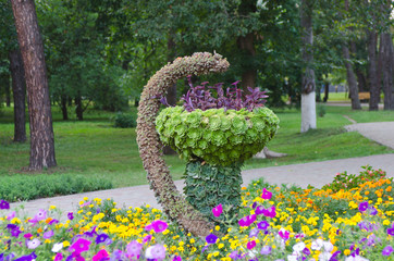 medicine plant symbol