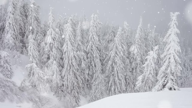 New Year,christmas, winter background